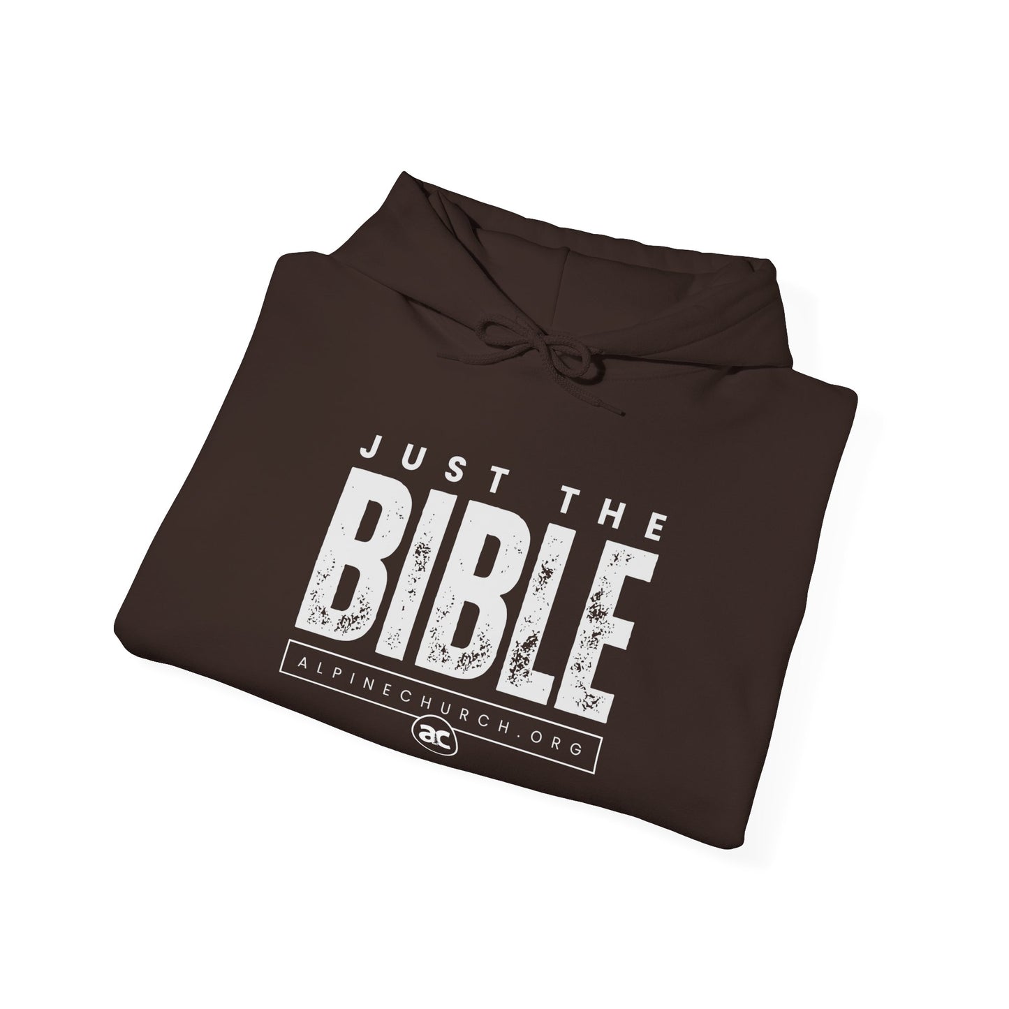 Just The Bible Hoodie