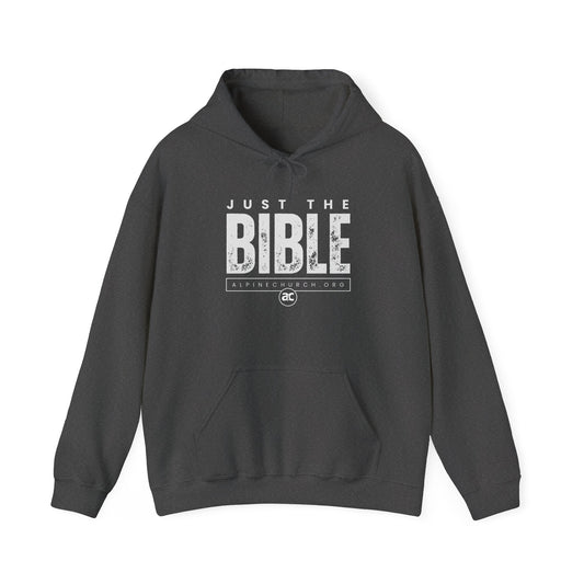 Just The Bible Hoodie