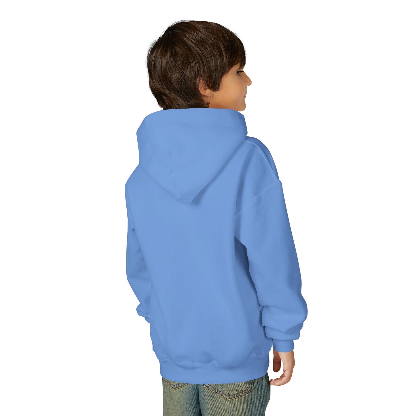 Youth Color Design Hoodie