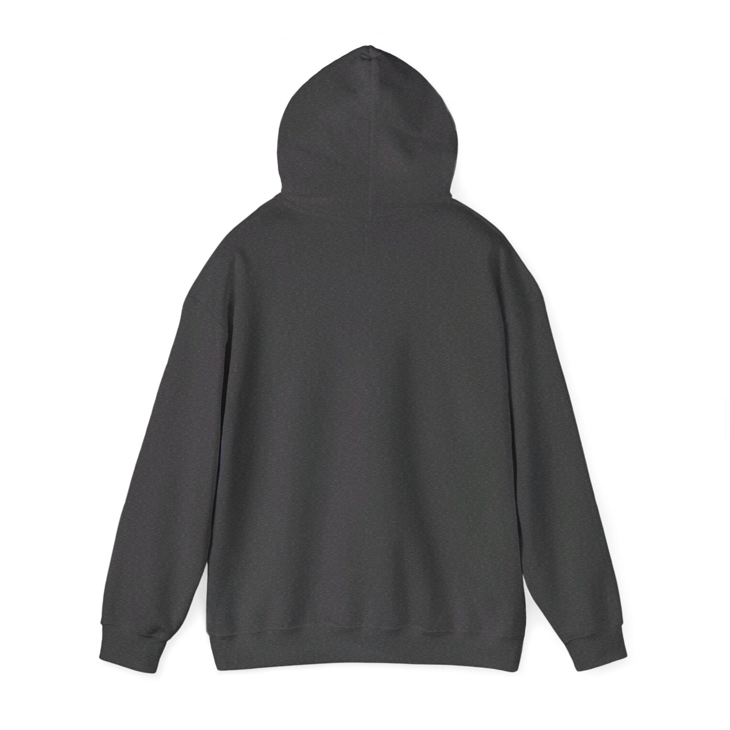 Alpine Church Mountain Hoodie